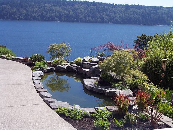 Koi Pond