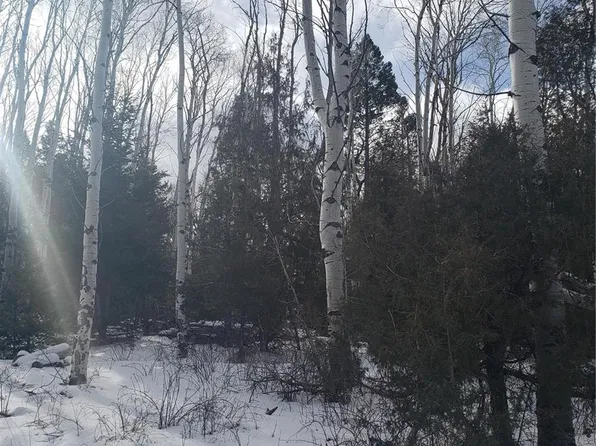 255 Mill Run Road, Mosca, CO 81146