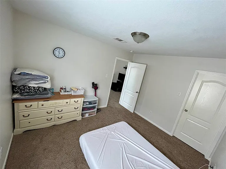 26414 Forest Pine Ln — Photo 10