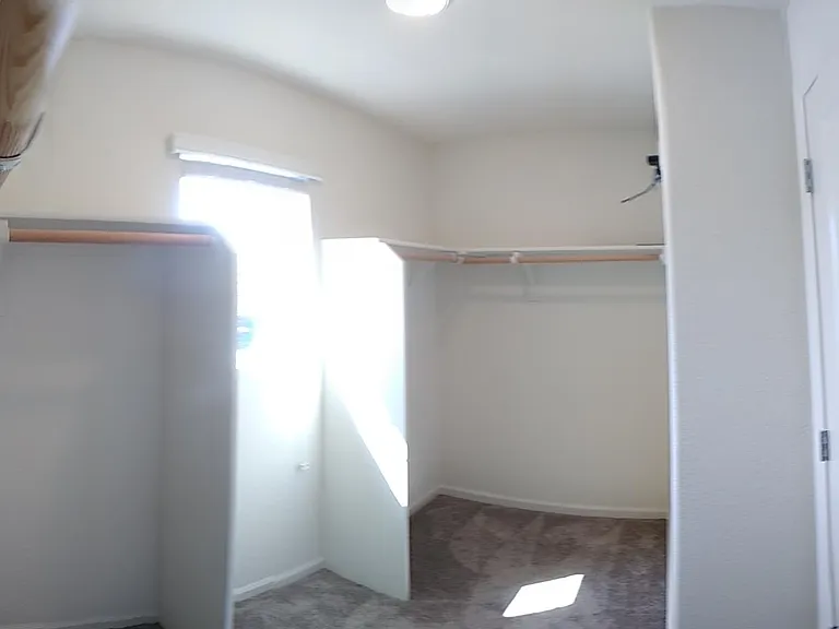 Alboran Sea Cir — Photo 10