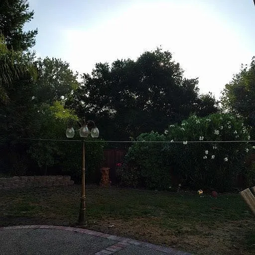 825 Feather River St — Photo 18