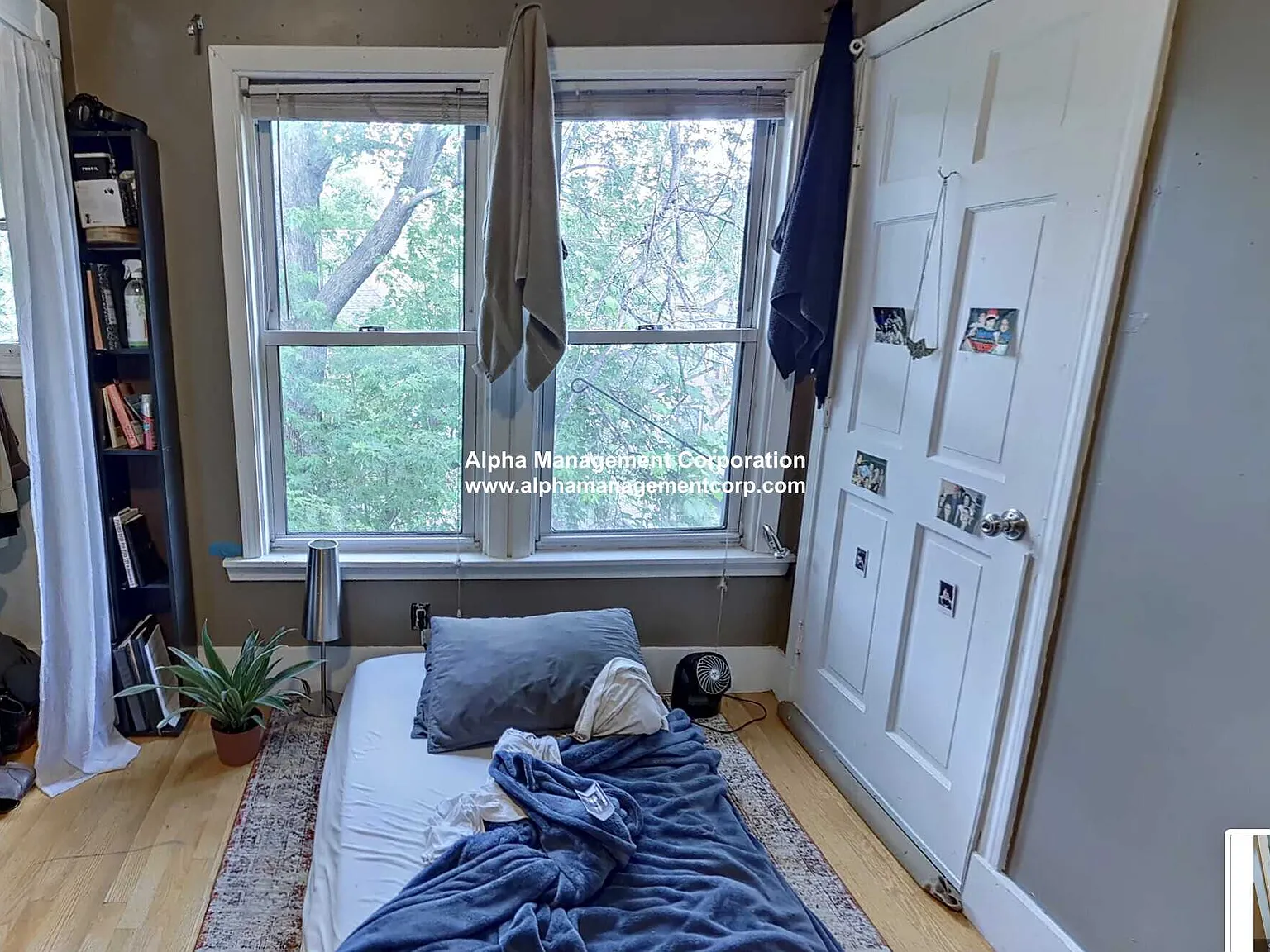 4 bed, $4,800 — Photo 4