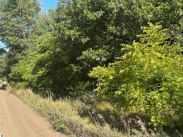 Lots 26 30 Willow St #26-30, Lake, MI 48632