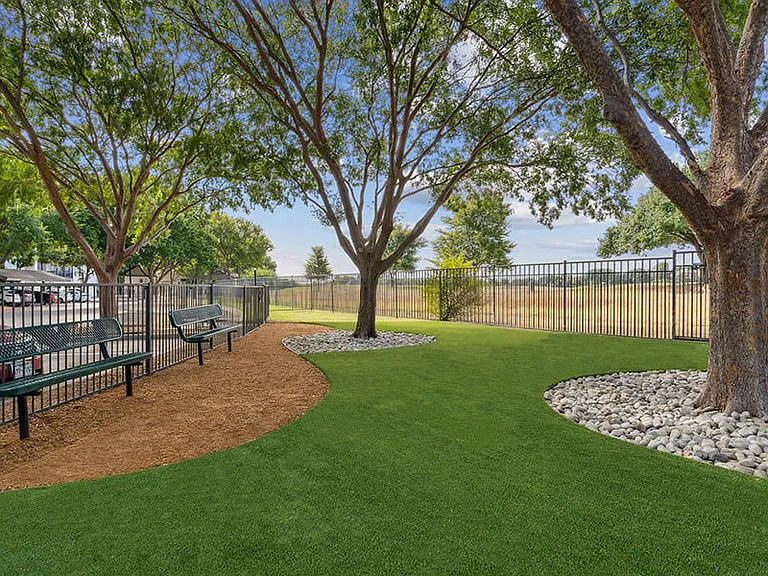 Fenced-in, turfed dog park