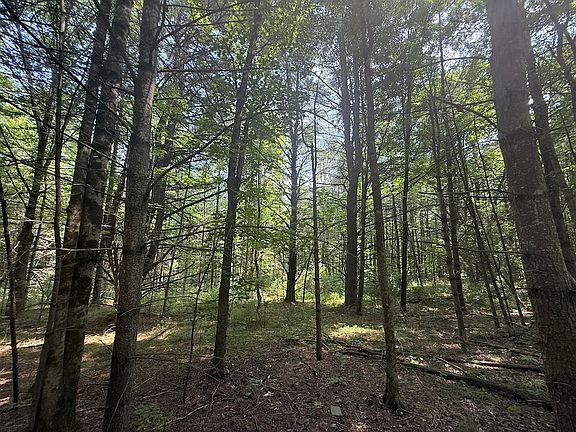 5th image of W Whitcomb Rd Lot Wp001