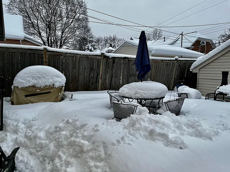 This yard was recently landscaped! grape vines and climbing roses and vegetable garden is waiting for you in the spring!