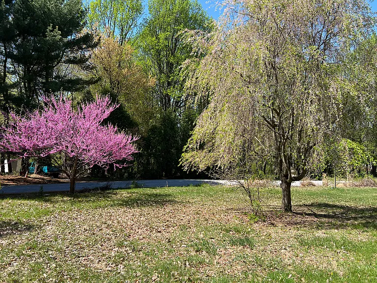 Wildflower Ln — Photo 17