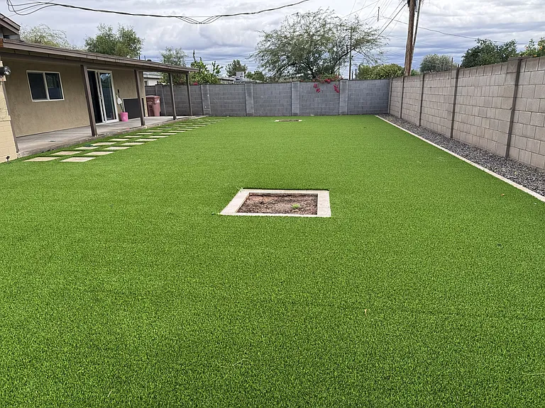 Backyard