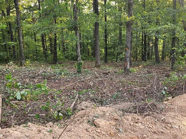 11766 Highway 65 N, Dennard, AR 72629