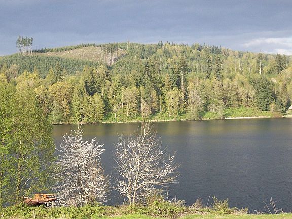 More VIEW