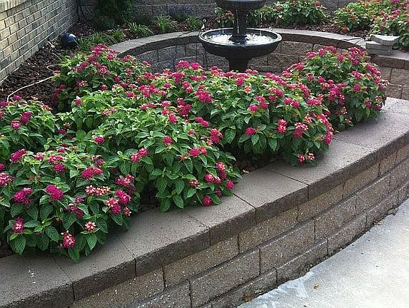 Garden in front of Gym