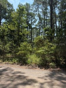 396 School Road, Daufuskie Island, SC, 29915