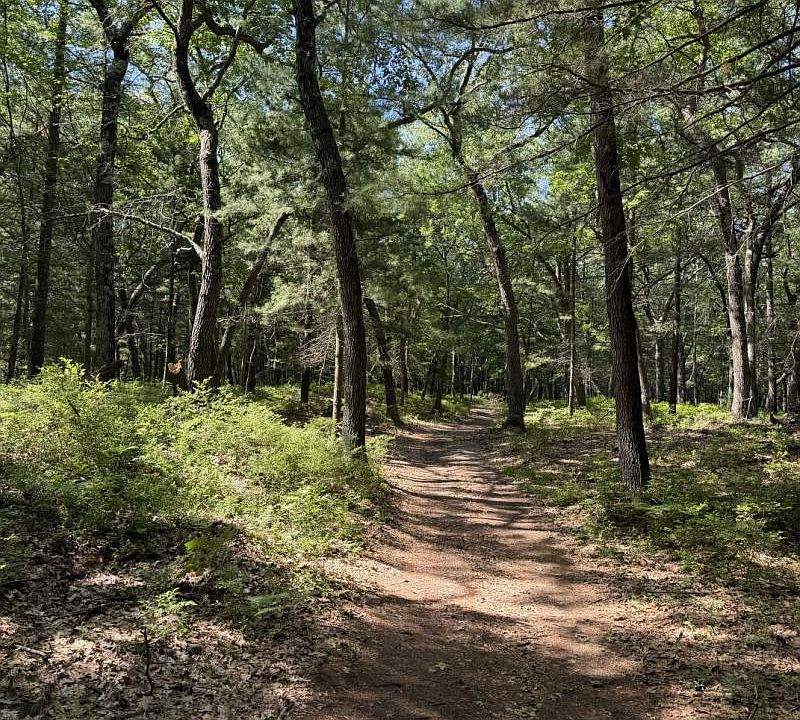 2nd image of Port Austin Rd