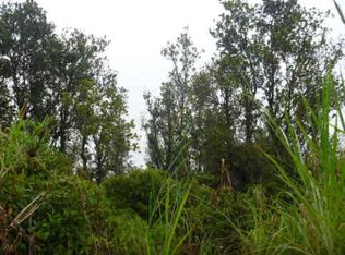 Anthurium St, Mountain View, HI 96771