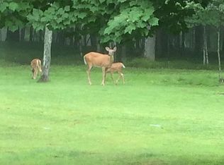 300 Ridgewood Dr, Cornell, WI 54732