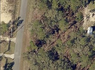 13700 SW 81st St Lot 13, Dunnellon, FL 34432