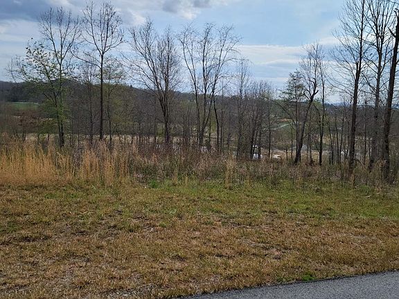 5th image of LOT 164 Old Owen Dr