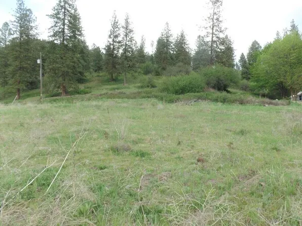 2XX Highway 395 N #C, Colville, WA 99114