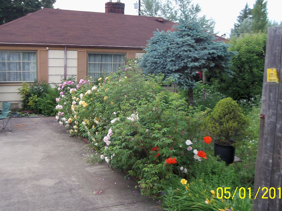 1st image of 11035 Parkview Ave S
