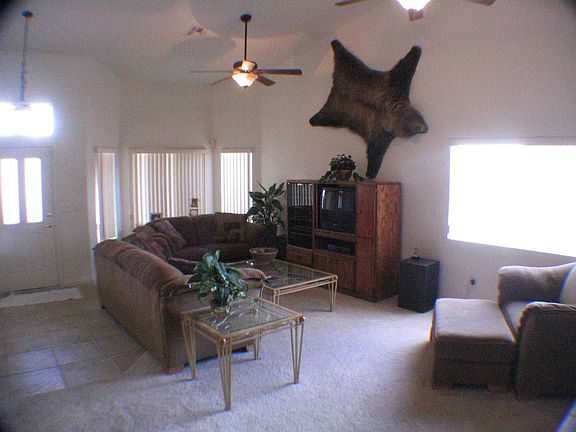 Vaulted Ceilings 