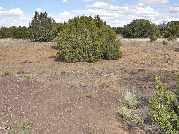 5th image of 23 County Road 3043 #753