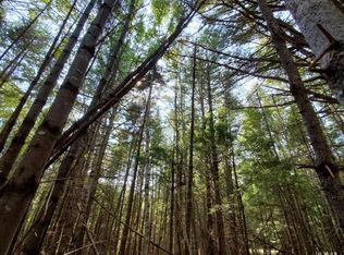 0 Caribou Rd, Passadumkeag, ME 04475
