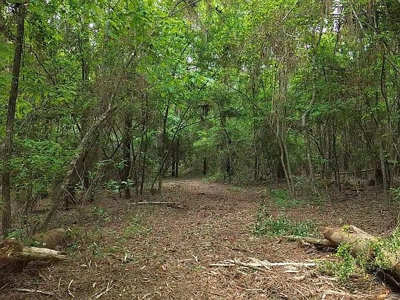 4th image of 63168 Chappepeela Ridge Rd