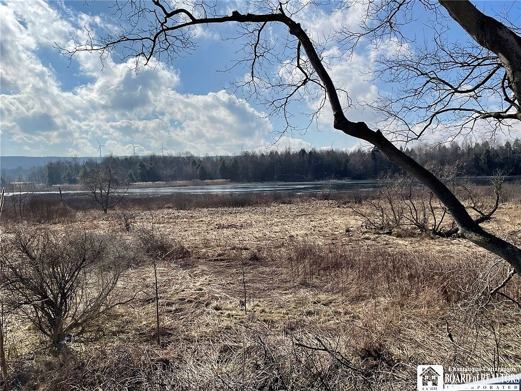 9131 Zahm Rd, Forestville, NY 14062 MLS R1457205 Zillow