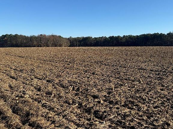 3rd image of 0 Whitfield Rd