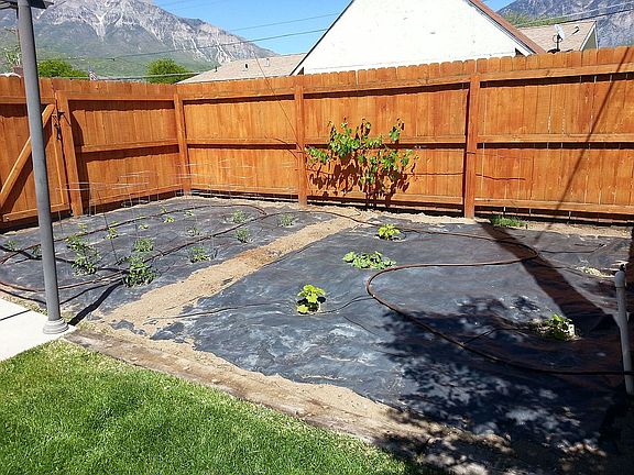 Garden (automated watering)