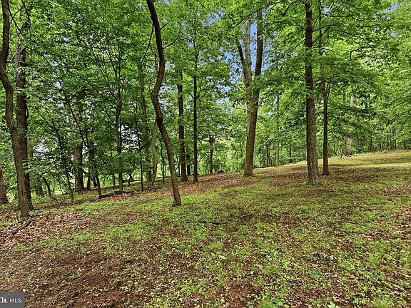 5th image of 2 Dogwood Ln