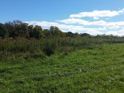 0 Park Hill Rd, Erin, NY, 14838