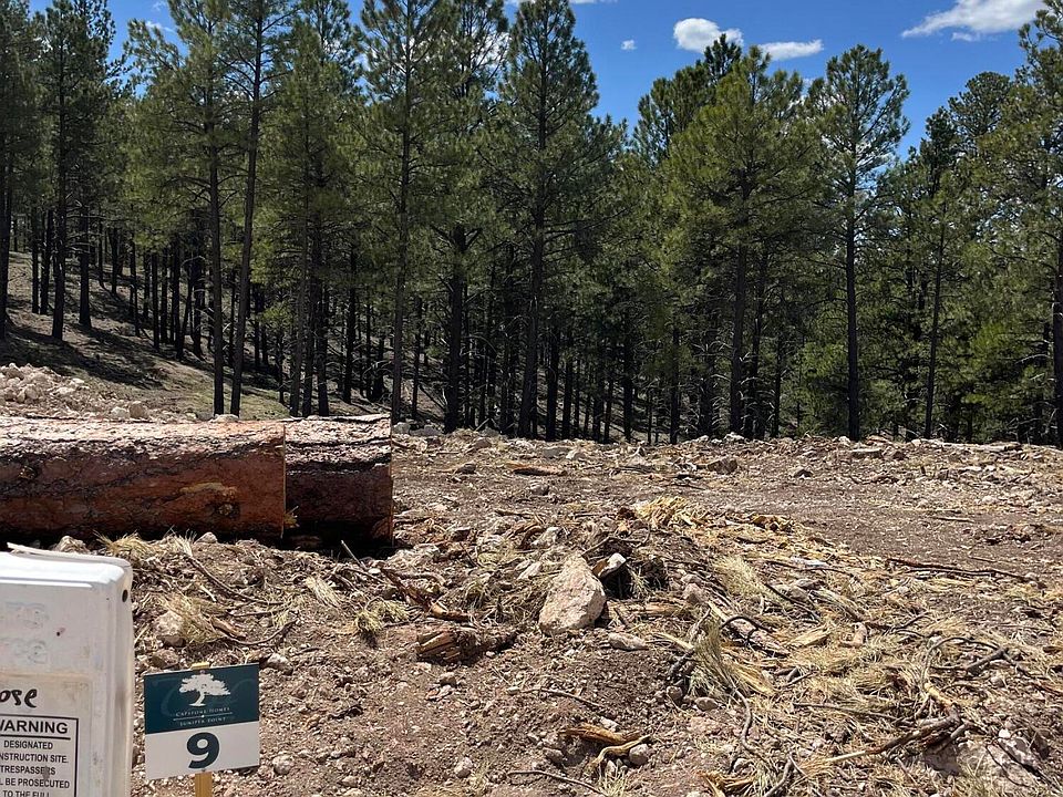 2nd image of 2659 S Cottonrose Ln Lot 9
