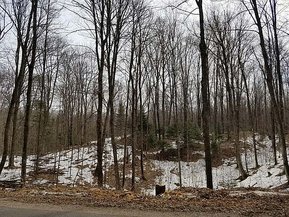 4th image of 21 ACRES S SILVER LAKE RD
