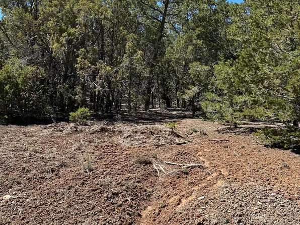 40 Milky Way, Tijeras, NM 87059