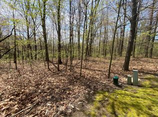 12998 Bowen Lake Dr, Gowen, MI