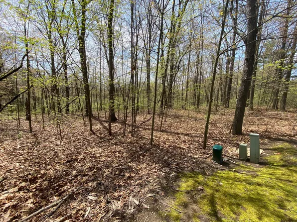 12998 Bowen Lake Dr, Gowen, MI 49326