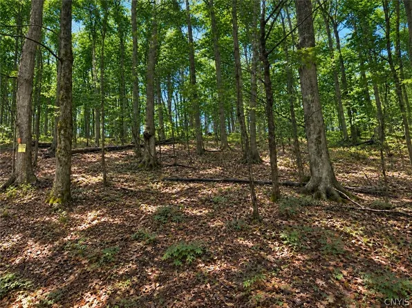 4 Nob Rd Lot 21, Utica, NY 13501