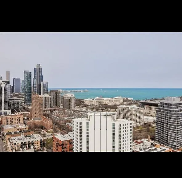 1720 S Michigan Ave #3207 — Photo 5