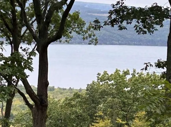 0 Satterly Way Lot 1, Burdett, NY 14818