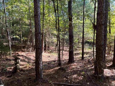 0 Cockrell Rd, Chappells, SC, 29037
