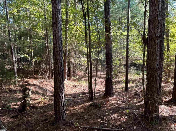 0 Cockrell Rd, Chappells, SC 29037