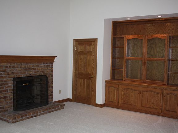 Fireplace & built-in in Library