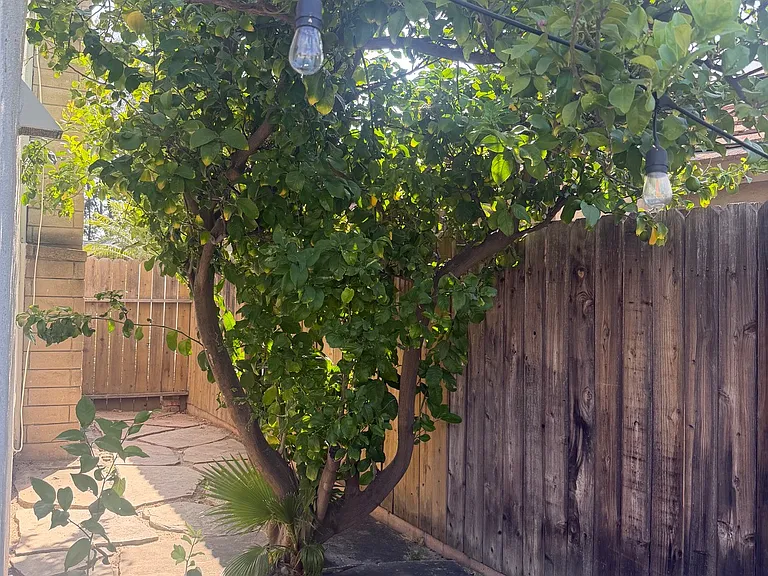 7159 Walcott Pl — Photo 15