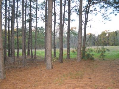 8910 Old Beatty Ford Rd, Rockwell, NC, 28138