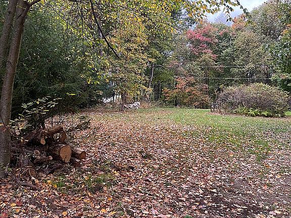 4th image of 125 Amanda Ln