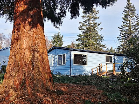 Sequoia can be safely limbed