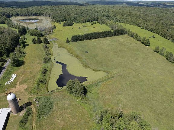 2nd image of 180 Puckerville Rd