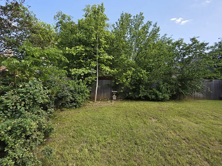 Garden corner view