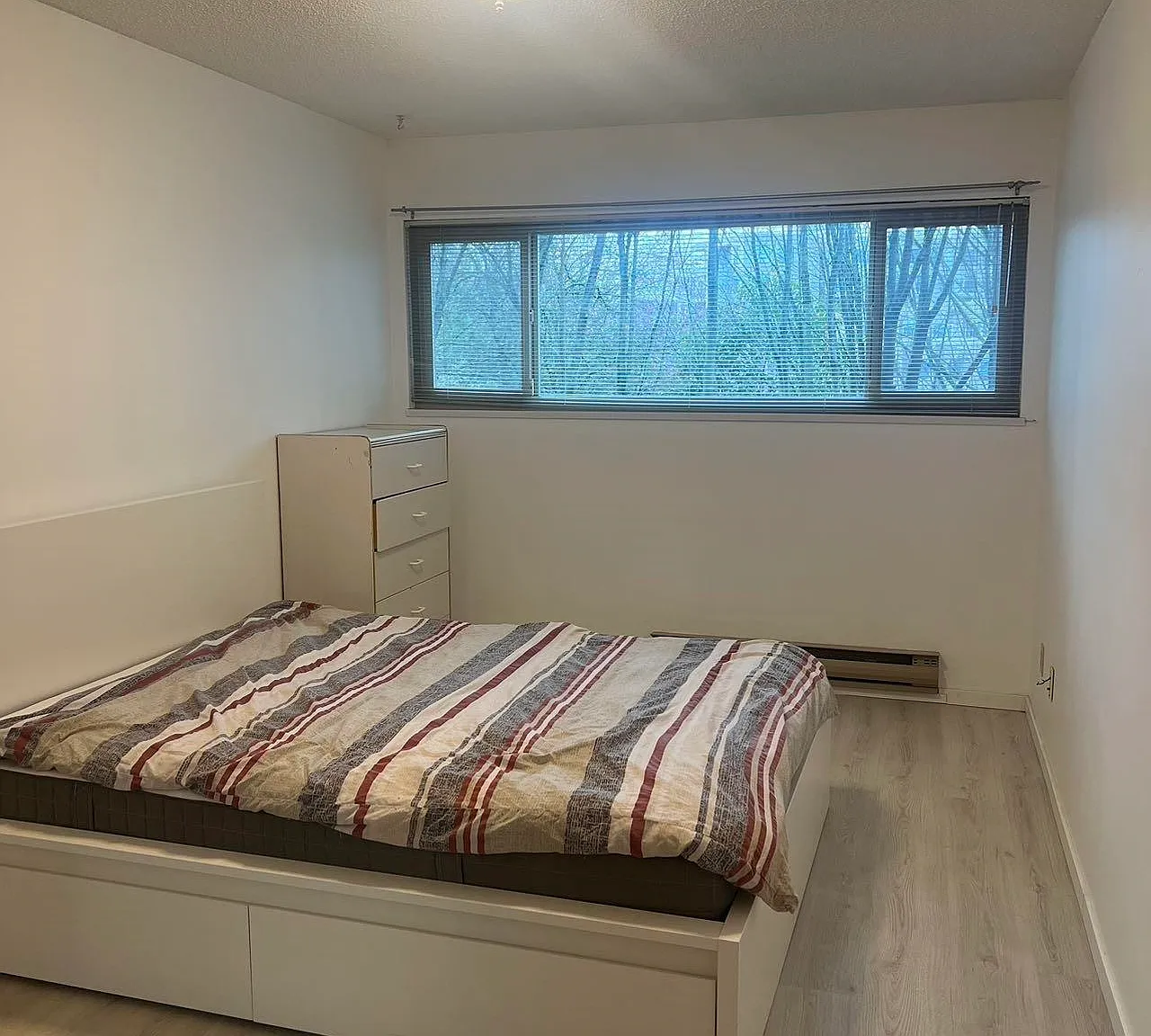 1 bed, 728 sqft, $1,800 — Photo 1
